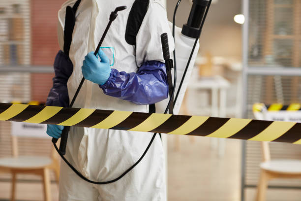 Professional Sewage Cleanup technician working in Woodstock, OH